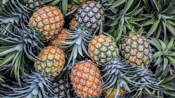 Ananas Pain de Sucre