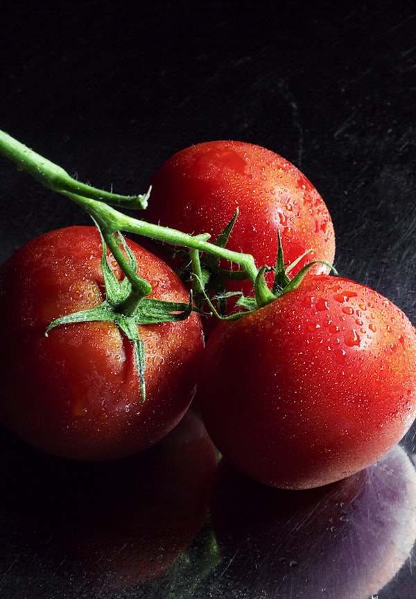 Tomate Concentree (carton)